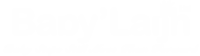 logo white